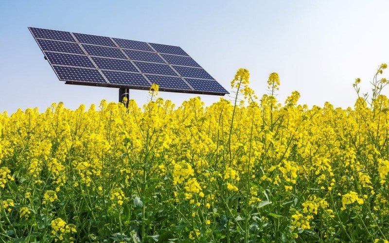 micro-inverter-vs-central-inverter-what-is-best